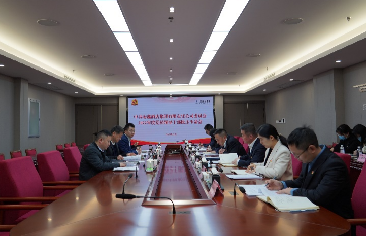 尊龙凯时集团党委书记、董事长任丁出席安逸酒店集团2022年度党员领导干部民主生活会